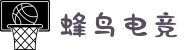 蜂鸟电竞-中国top1电竞平台